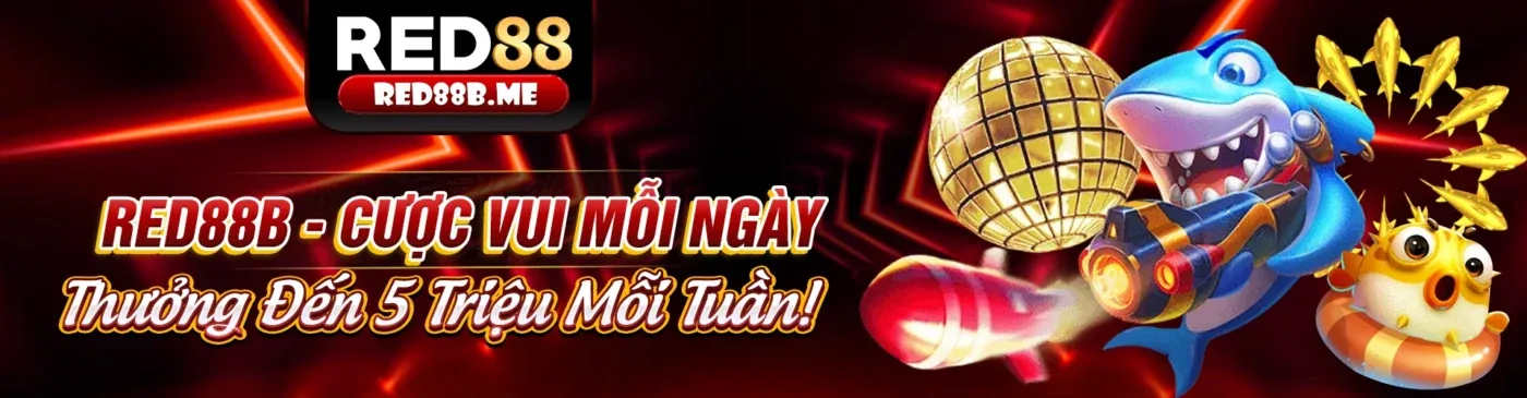 Hình ảnh minh họa các loại Cookie mà win55red nhà cái sử dụng