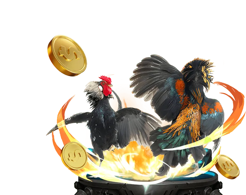 Cá cược bóng đá Win55red